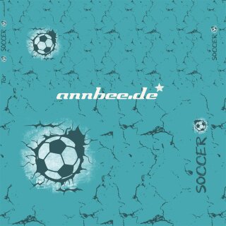 B Ware Jersey Panel SOCCER petrol
